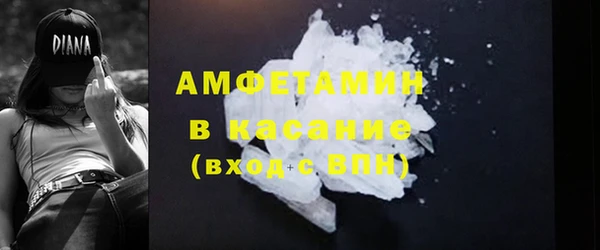 шишки Верхний Тагил